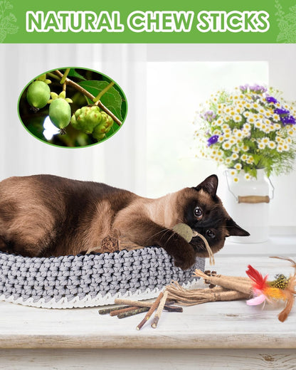 TINDTOP Silvervine Chew Sticks for Cats, 12 Pack Natural Catnip Chew Toys for Kittens Teeth Cleaning, Matatabi Dental Care, Increase Appetite, Calm Cat Anxiety and Stress, Cat Dental Toy