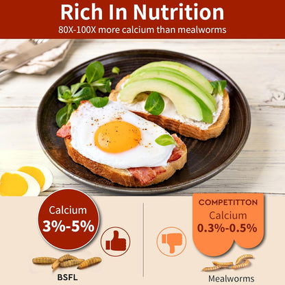 Dried Black Soldier Fly Larvae 5LB, High Protein Chicken Feed, 100% Natural Non-GMO – Treat for Chicken More Calcium Than Mealworms, Food for Laying Hen, Ducks, Wild Birds