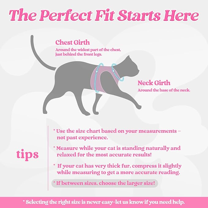 rabbitgoo Cat Harness and Leash Set for Walking Escape Proof, Adjustable Soft Kittens Vest with Reflective Strip for Cats, Comfortable Outdoor Vest, Pink, XL