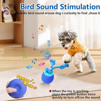 Interactive Dog Toys with Motion Activated, Squeaky Dog Toy Active Rolling Ball for Puppy and Medium Dogs, USB Rechargeable, Wicked Ball