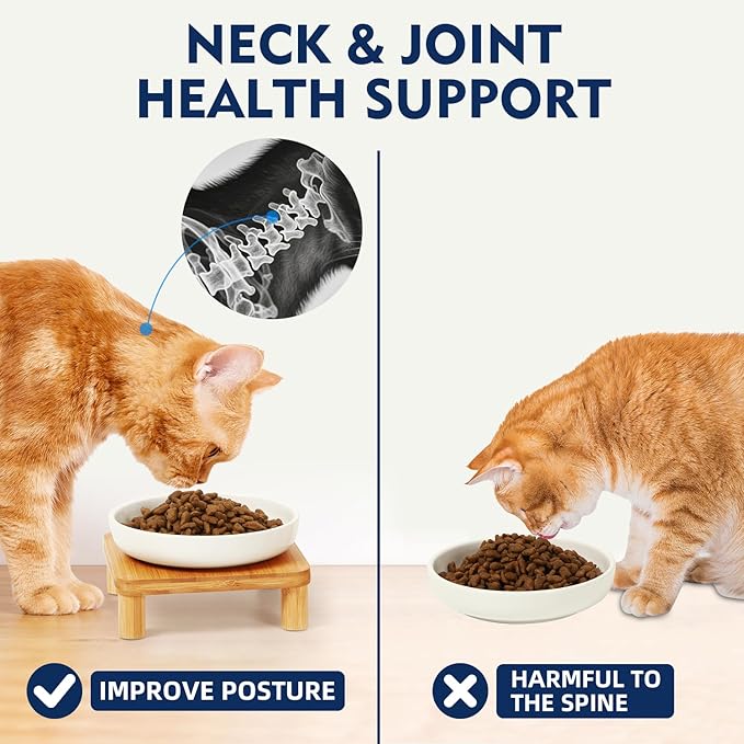 Elevated Cat Bowls for Indoor Cats – Raised Bamboo Cat Bowl Stand with 5.75 Inch Wide Ceramic Dishes, Pet Food Plate Table for Easy Feeding, Whisker Friendly(White,Set of 2)