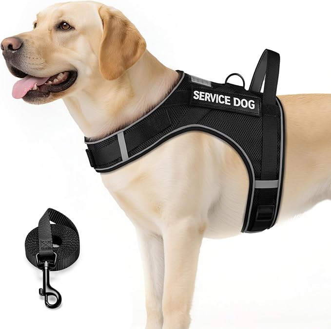 FAYOGOO Service Dog Vest for Large Dogs - Air Mesh Breathble Emotional Support Animal Vest with DIY Removable Patches - Dog Harness and Leash Set Adjustable Neck and Chest(Black,XL)