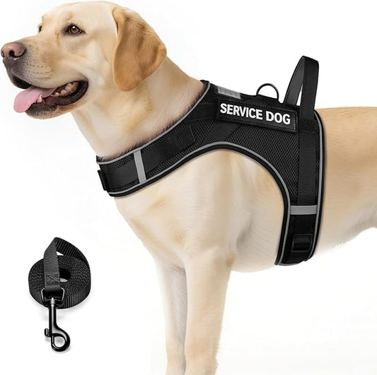 FAYOGOO Service Dog Vest for Large Dogs - Air Mesh Breathble Emotional Support Animal Vest with DIY Removable Patches - Dog Harness and Leash Set Adjustable Neck and Chest(Black,XL)