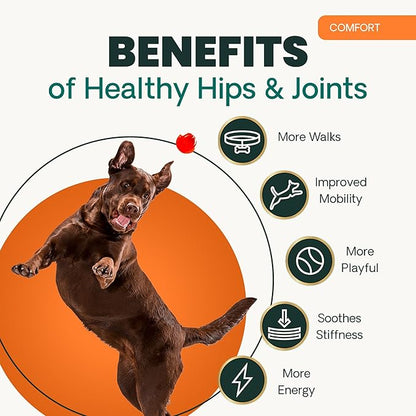 VetriScience Extra Strength Healthy Hip & Joint Chews, GlycoFlex Glucosamine and Green-Lipped Mussel Joint Support Supplement for Small Breed Dogs, Soothe Joint Discomfort, Chicken, 60 Count