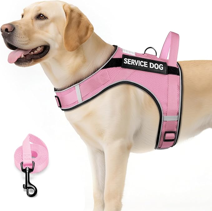 FAYOGOO Service Dog Vest for Large Dogs - Air Mesh Breathble Emotional Support Animal Vest with DIY Removable Patches - Dog Harness and Leash Set Adjustable Neck and Chest(Pink,XL)