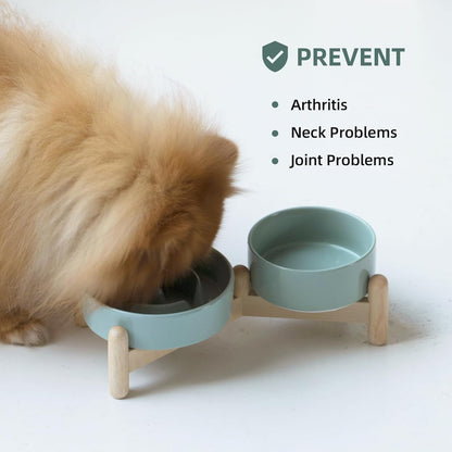 Ceramic 0.9 Cup Raised Slow Feeder Dog Bowl Set, Elevated 5.1inch Water Bowl and 6.1inch Puzzle Slow Pet Food Dish with Wooden Stand for Small Dog and Cat(2 x Light Green+ Stand)
