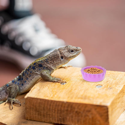 7 Pack Reusable Small Reptile Feeding Dish Crested Gecko Food and Water Feeding Cups Crested Gecko Food Dish Colorful Water Bowl Reptile Foods Dish for Tortoise, Small Pet and Crab