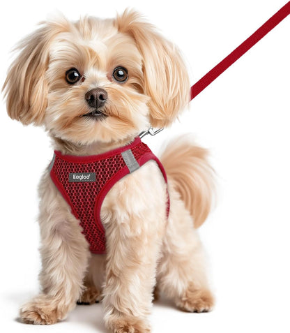 Eagloo Small Dog Harness and Leash Set, Step in Puppy Vest with Breathable Soft Mesh, Walking Reflective Pet Harness for Small Dogs, Red, XS