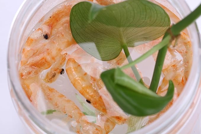 Premium Freeze-Dried Krill & Shrimp Mix - Ideal for Arowana, Koi, Tropical Cichlids, and Turtles - High-Protein Floating Aquarium Food (3000ml)