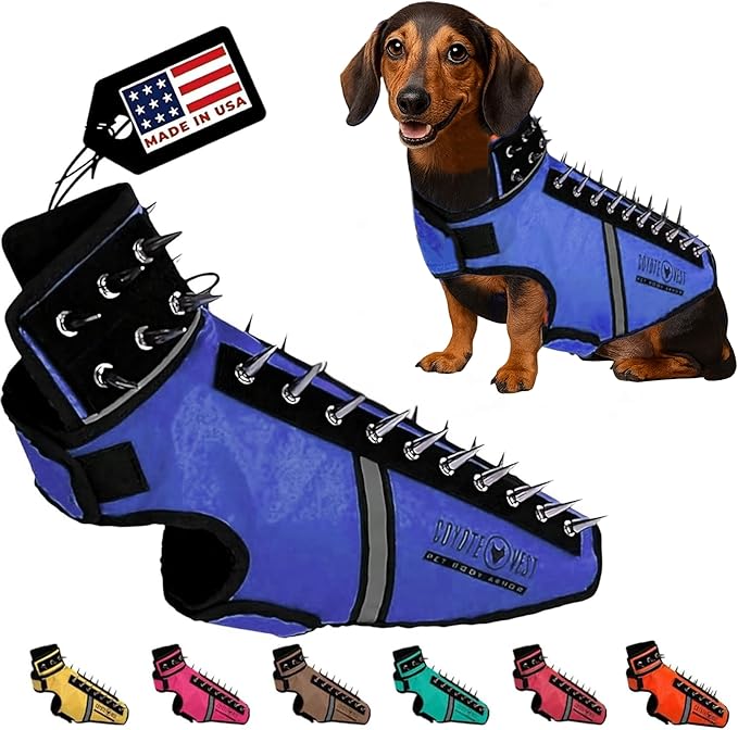 CoyoteVest SpikeVest Dog Harness Vest for Small Dogs, Reflective Dog Vest with Spikes to Shield Your pet from Coyotes, Raptor and Animal Attacks, Anti Hawk Vest, Made in USA (S-Royal Blue)