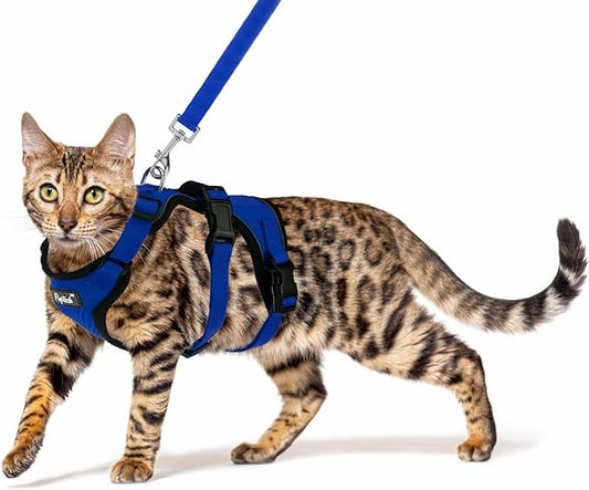 PUPTECK Cat Harness and Leash Set Escape Proof for Walking, Breathable Mash Vest Adjustable Harness for Cats Puppy Small Animals, Reflective at Night, Blue Small