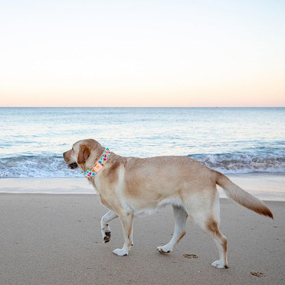 Elegant little tail Dog Collar, Dill Pickles Pattern Pet Collar Durable Cute Dog Collars Male or Female Pet Gift Adjustable Dog Collar for Small Dogs