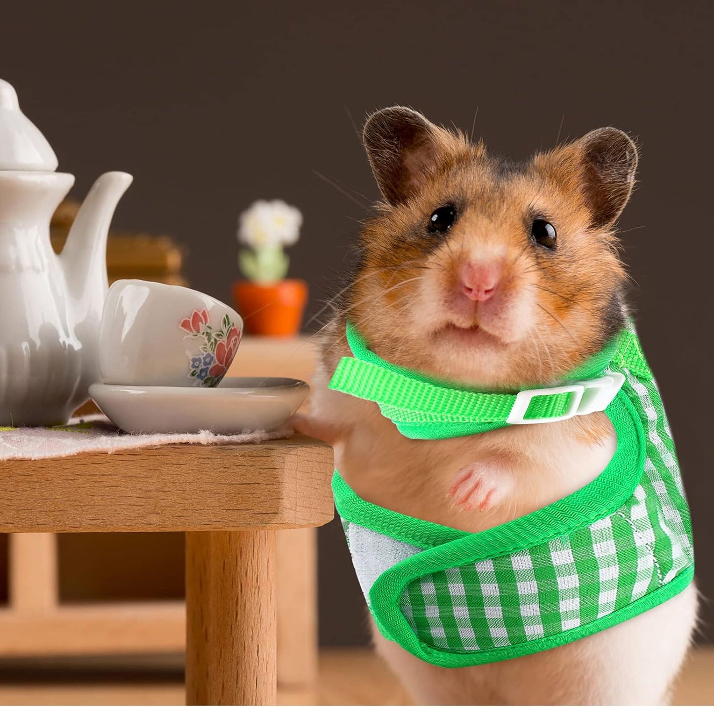 Weewooday 3 Pieces Guinea Pig Harness with Leash Small Pet Harness Fruit Plaid Pattern Adjustable Padded Walking Vest for Pet Hamster Squirrel Animals(Pineapple, Blue, Green Plaid,Medium)