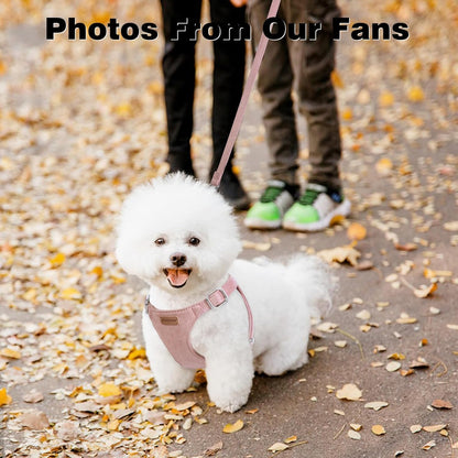 Dog Harness and Leash Set, XXS No Pull Adjustable Puppy Harness with Multifunction Pink Dog Leash and Dog Collar, Soft No Choke Escape Proof Pet Harness Vest for Small Dogs and Cats (Pink, XS)