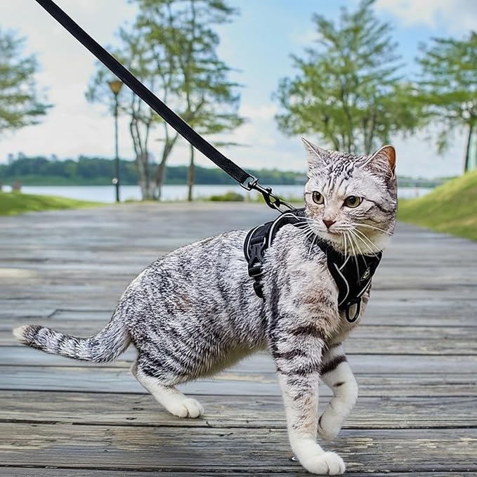 Cat Harness and Leash Set Escape Proof Tactical Large Kitten Harness Emotional Support Cat Vest, Black, L