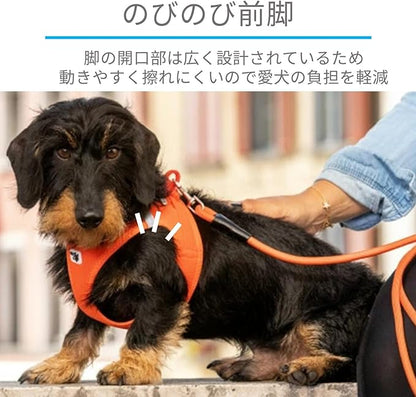 curli Vest Harness Clasp Air-Mesh Dog Harness (safe dog accessories, no pressure points, improved fit, harness with curli clasp buckle)