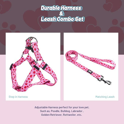 QQPETS Dog Harness Leash Set Adjustable Heavy Duty No Pull Halter Harnesses for Small Medium Large Breed Dogs Back Clip Anti-Twist Perfect for Walking