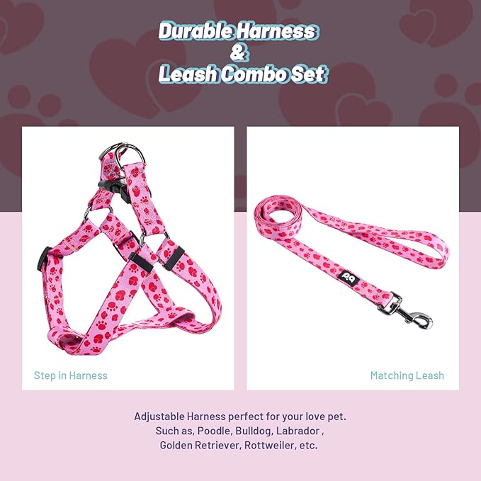 QQPETS Dog Harness Leash Set Adjustable Heavy Duty No Pull Halter Harnesses for Small Medium Large Breed Dogs Back Clip Anti-Twist Perfect for Walking