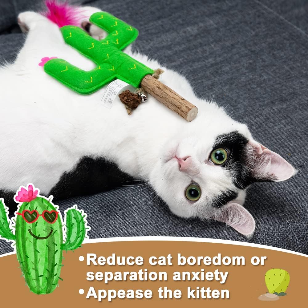 PAZ'S GIFT Catnip Toys - Cat Kick & Rope Toys for Indoor Play, Cat & Kitten Teething Chew Toys for Aggressive Chewing & Teeth Cleaning (Polygonum tinctorium Cactus)