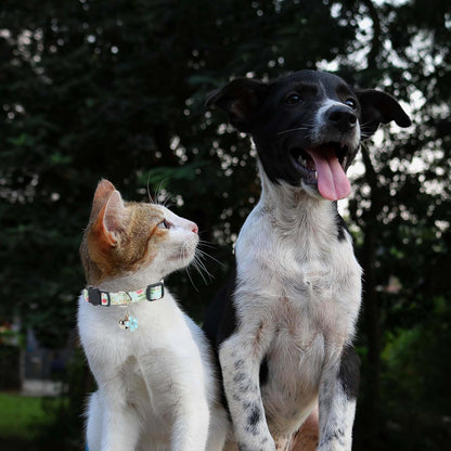 4 Pack Breakaway Cat Collar with Bell,Safety Adjustable Cat Collars Set with Flower Pattern,Ideal for Girl Cats Boy Cats