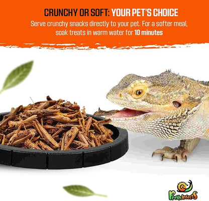 Medley Treat Bearded Dragon Food - Freeze Dried Mealworms, Grasshoppers, Crickets, Quality Tested, Vitamin & Calcium Enriched, Essential Proteins, Fats & Minerals - For Bearded Dragons, Reptiles 2.5oz