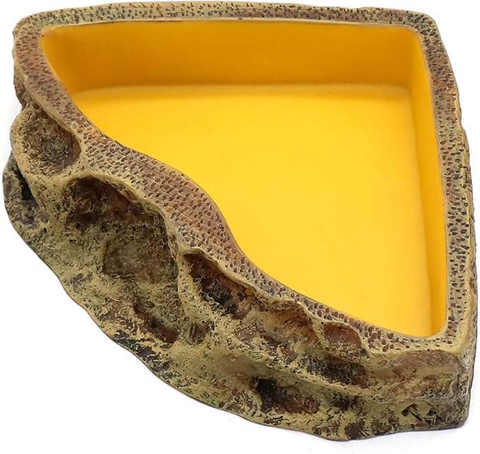 Reptile Feeder Resin Bowl Amphibian Reptile Bowl for Lizard Gecko Bearded Dragon Turtle