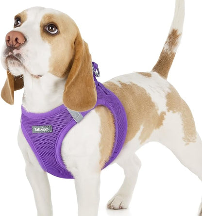 rabbitgoo Small Dog Harness, Step-in Soft Mesh Puppy Vest with Safety Buckle, Breathable Reflective Pet Harness for Small Sized Dogs, Purple M