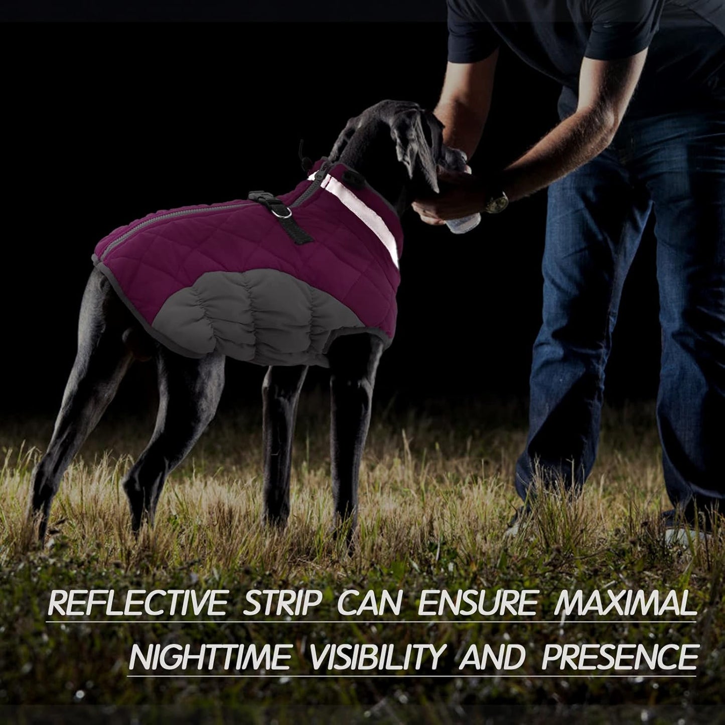 FUAMEY Dog Coat for Small Dogs,Waterproof Dog Winter Jacket with Harness Built in Puppy Cold Weather Coats Reflective Pet Vest with Zipper Warm Fleece Dogs Snowsuit Windproof Pink XS