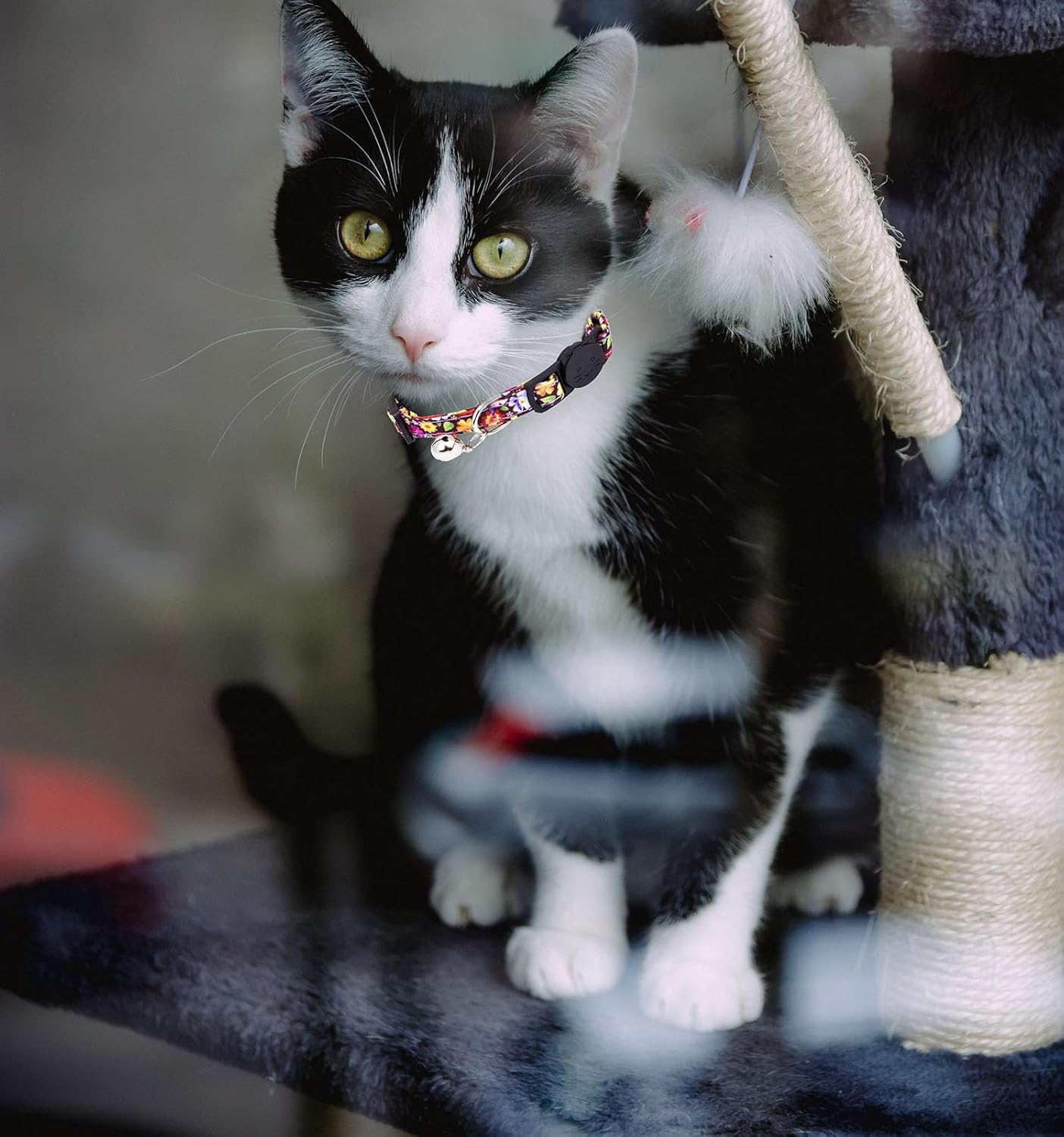 4 Pack Cotton Breakaway Cat Collar with Bell,Safety Adjustable Cat Collars Set with Flower Pattern,Ideal for Girl Cats Boy Cats