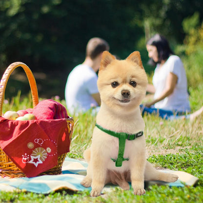 PUPTECK No Pull Dog Harness Soft Adjustable Basic Nylon Step in Puppy Vest Outdoor Walking with ID Tag, Blackish Green, XS