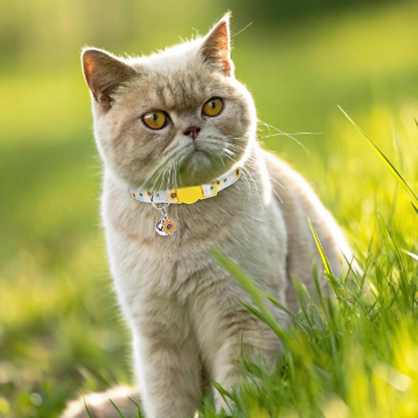 Breakaway Cat Collar with Bells, 3 Pack Summer Spring Cat Collar for Girl Boy Cats, Cute Pink Purple Yellow Flower Kitten Collars with Safety Buckle, Adjustable 8"-12" for Puppy Small Pets