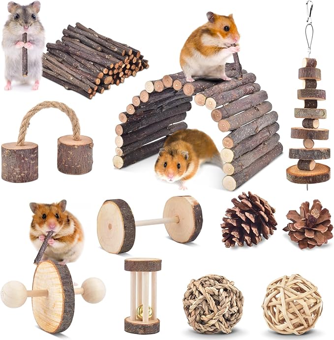 ERKOON 11 Pack Chinchillas Chew Toys, Toys Accessories for Teeth Care, Natural Apple Wood Ladder Bell Roller for Russian Hamster Gerbils Rats Guinea Pigs (11PCS)