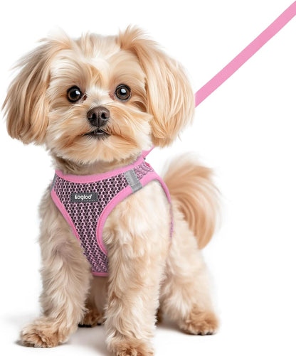 Eagloo Small Dog Harness and Leash Set, Step in Puppy Vest with Breathable Soft Mesh, Walking Reflective Pet Harness for Small Dogs, Pink, XS