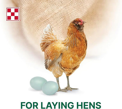 Purina Layena + High Protein Layer Chicken Feed (10 Pound)