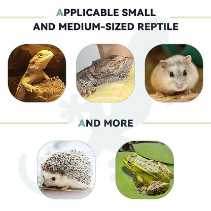 2 Pieces Bearded Dragon Carrier and Adjustable Bearded Dragon Lizard Leash Harness Bearded Dragons Lizards Safety Outdoor Walking for Amphibians and Other Small Pet Animals Travel Carrier