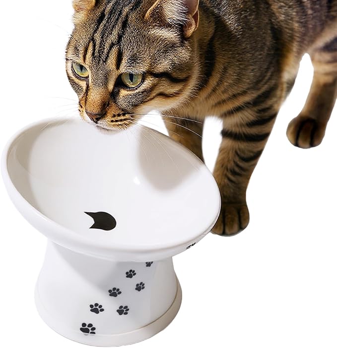 Necoichi Raised Cat Food Bowl – Ceramic Elevated 15° Tilted Cat Bowl for Whisker & Neck Fatigue, Dishwasher Microwave Safe – Non-Slip & Anti Vomiting Ergonomic Design (Cats, Extra Wide Tilted)