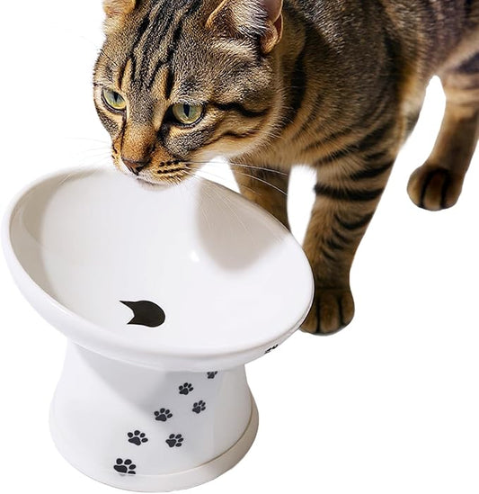 Necoichi Raised Cat Food Bowl – Ceramic Elevated 15° Tilted Cat Bowl for Whisker & Neck Fatigue, Dishwasher Microwave Safe – Non-Slip & Anti Vomiting Ergonomic Design (Cats, Extra Wide Tilted)