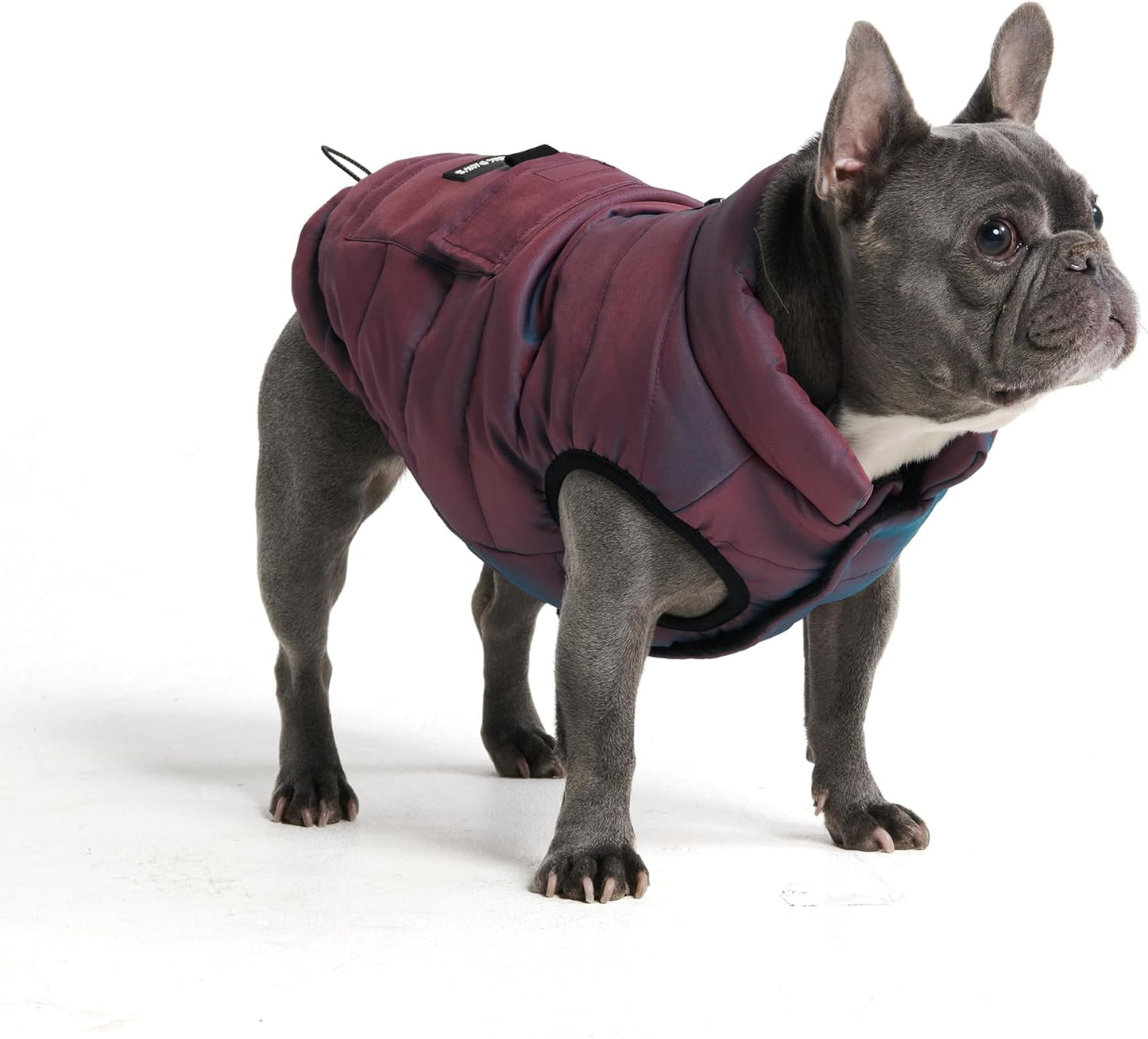 Spark Paws Dog Winter Jacket, Water-Resistant Coat, Warm Reflective Windproof Fleece-Interior, for Medium and Large Dogs - Cosmic - XL