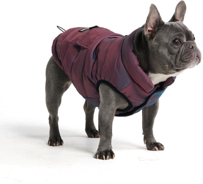 Spark Paws Dog Winter Jacket, Water-Resistant Coat, Warm Reflective Windproof Fleece-Interior, for Medium and Large Dogs - Cosmic - XL