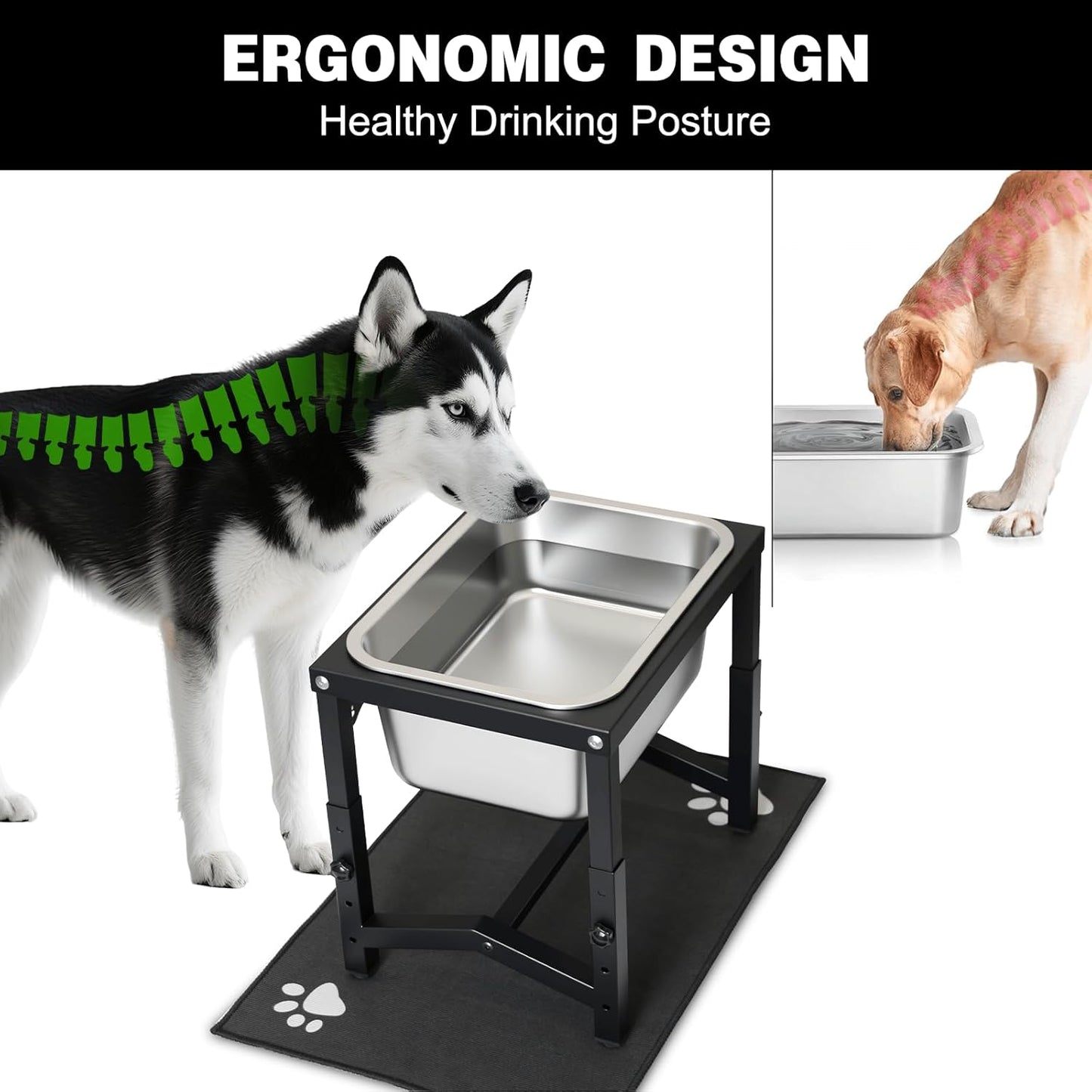 2.8 Gallon Elevated Large Dog Water Bowl, 4 Adjustable Height 10.5-15.8'' Raised Stainless Steel Bowl Stand with Anti-Slip Mat for Large Breed, Metal Dog Feeding Station for Relief Joint Pressure