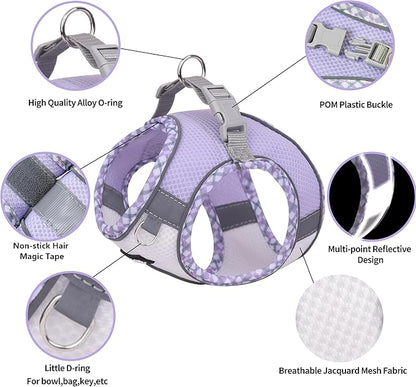 AIITLE Dog Harness and Leash Set - Ultra-Comfortable XXS-XL Vest with Strong Magic Tape & Glow-in-Dark Reflective Strips, Chafe-Free for Teddy, Schnauzer (Purple-White, M)