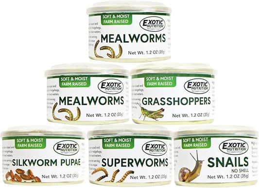 Canned Insect Assortment 6 Pack - Healthy High Protein Treat - For Hedgehogs, Sugar Gliders, Reptiles, Chickens, Lizards, Bearded Dragons, Turtles, Fish, Birds, Opossums, Skunks and other Insectivores