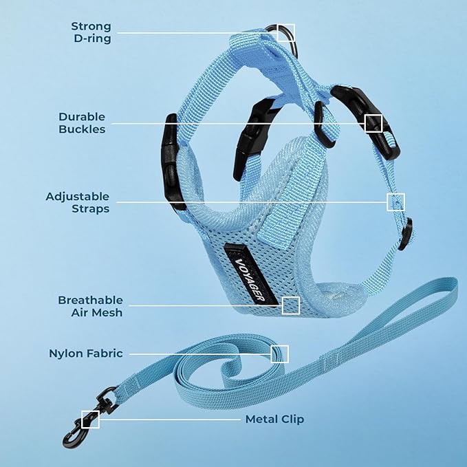 Voyager Step-in Lock Adjustable Cat Harness w. Cat Leash Combo Set with Neoprene Handle 5ft - Supports Small, Medium and Large Breed Cats by Best Pet Supplies - Baby Blue, XXS