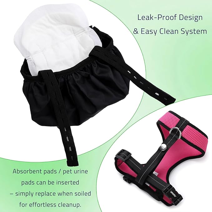 10 Pack Super Absorbent Pet Training Pads + 1 Set Durable Pet Leash & Harness | Leak-Proof Essentials for Indoor & Travel (S Size)