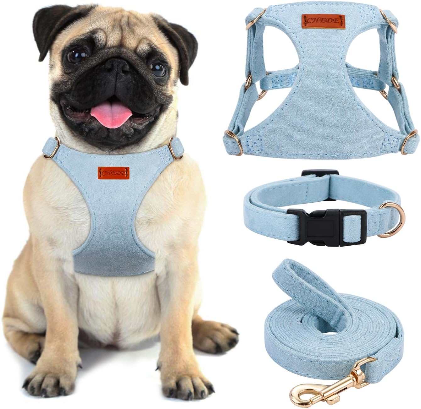 No Pull Dog Harness- Lightweight, Soft, Adjustable Small Harness Collar and Leash Set, Suitable for Cats Puppy Small and Medium-Sized Dog Outdoor Training and Running (Blue, M)