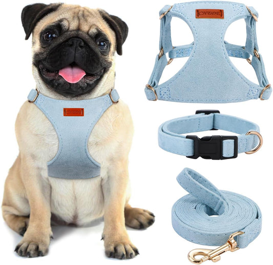 No Pull Dog Harness- Lightweight, Soft, Adjustable Small Harness Collar and Leash Set, Suitable for Cats Puppy Small and Medium-Sized Dog Outdoor Training and Running (Blue, S)