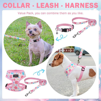 SCENEREAL Small Dog Harness Collar and Leash Set, Adjustable No Pull Pet Harnesses, No Chock Soft Mesh Step in Vest for Doggie Puppy Medium Dogs Cats Girl or Boy,Chihuahua, Yorkie, Outdoor Walking