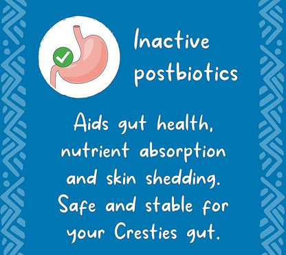 Crested Gecko Diet | Strawberry Swirl | All Natural Low Fat Complete Gecko Food | 2.1oz