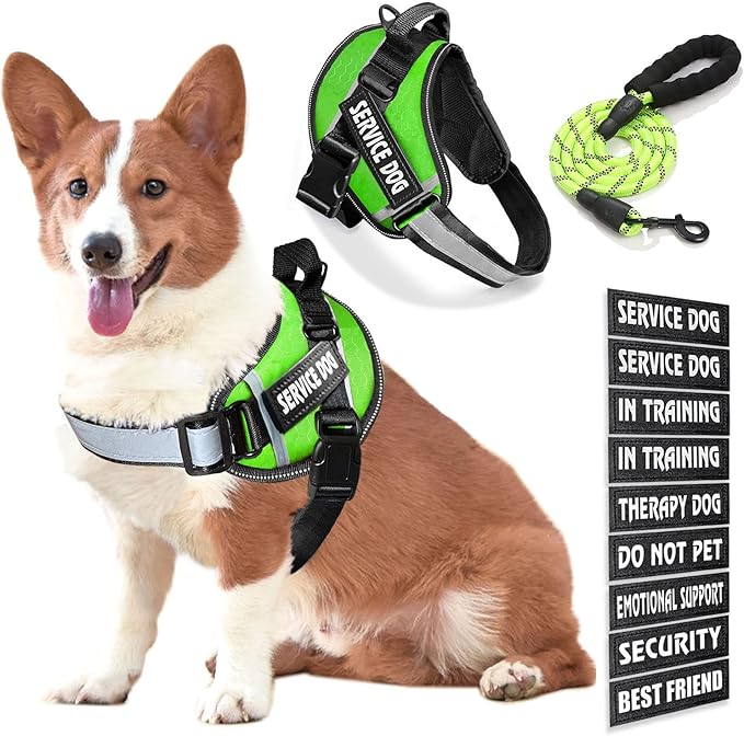 Service Dog Vest, 9 Dog Patches No Pull Dog Harness and Leash Set with Handle,Easy On and Off Pet Vest Harness with Night Safe Reflective Straps for Small Medium Large Breed Dogs