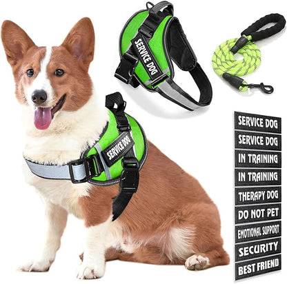 Service Dog Vest, 9 Dog Patches No Pull Dog Harness and Leash Set with Handle,Easy On and Off Pet Vest Harness with Night Safe Reflective Straps for Small Medium Large Breed Dogs